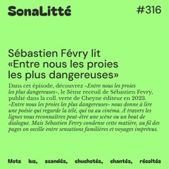 Episode 316 - Sébastien Févry