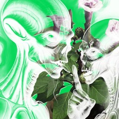 Ace Datura