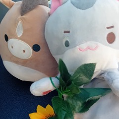 Fiktion Kesäpäivät 2025 - Sunday morning techno set