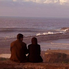 على طريق الحديدة صدفت قُمري جميل ❤