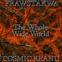 The Whole Wide World (FRAWSTAKWA & Cosmic Keanu)