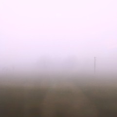 caroline polachek & weyes blood - butterfly net (lastdisease remix)