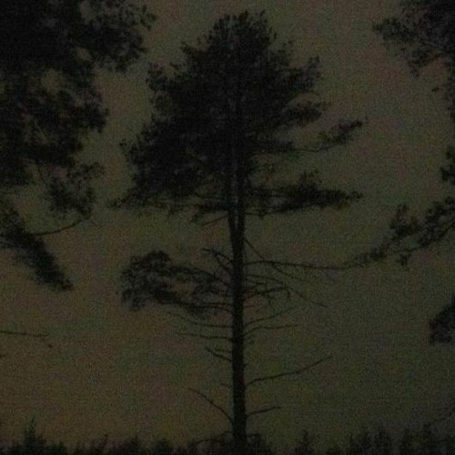 psybient rock