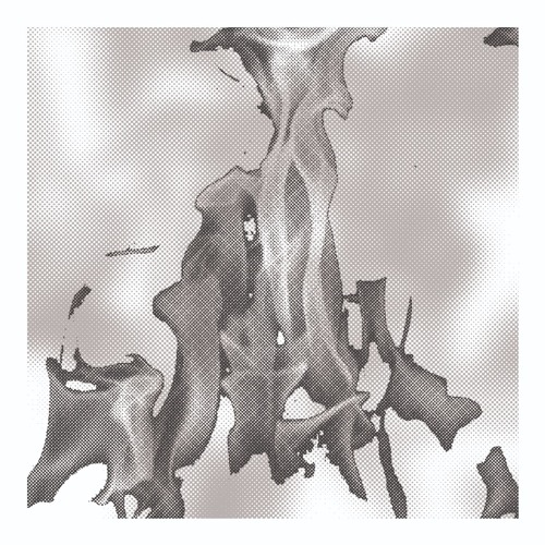 PREMIERE: Laima Adelaide - FTR (Feral In Space Rework) [PREDAWN Records]