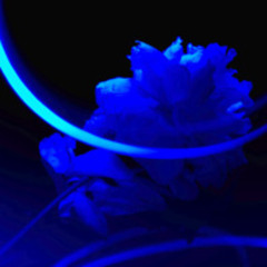 Full Moon In Scorpio