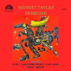 Mehmet Taylan - Derbeder (Linear Remix)