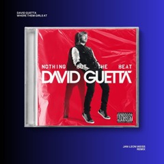 David Guetta - Where Them Girls At (feat. Nicki Minaj & Flo Rida) [Jan-Leon Weiss Remix]