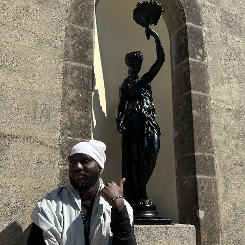 under your rizz (snow strippers remix)