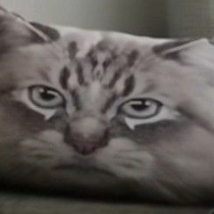 ONI INC. x HURT GANG - THE PHONKY BLASTER 9000 (prod. Roma Jonson)