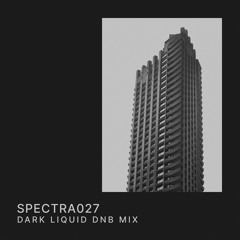 SPECTRA 027 | Dark Liquid Dnb Mix