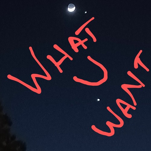 what you want.mp3