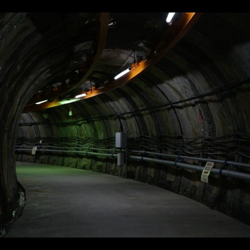 Spring Water, Fault, Body / 湧き水と断層と身体 (excerpt)