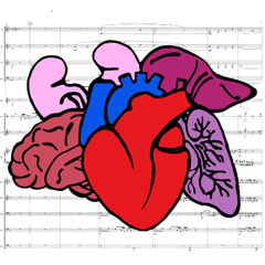 The Brain