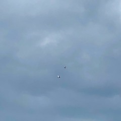 Off