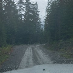 Are we there yet?