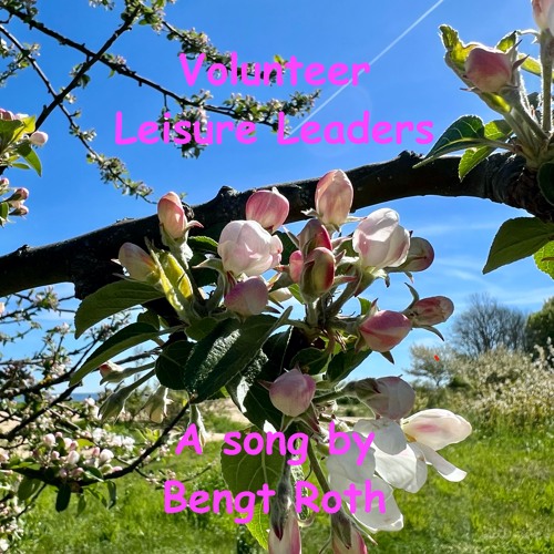 Volunteer Leisure Leaders