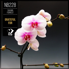 Shawn Forrest - Grateful For (Original Mix)
