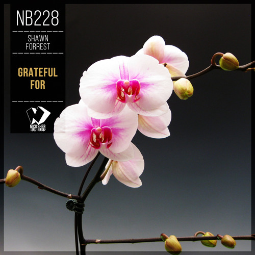 Shawn Forrest - Grateful For (Original Mix)