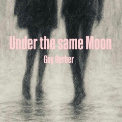 Guy Gerber - Under the same Moon