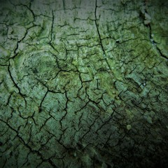 Different Structures