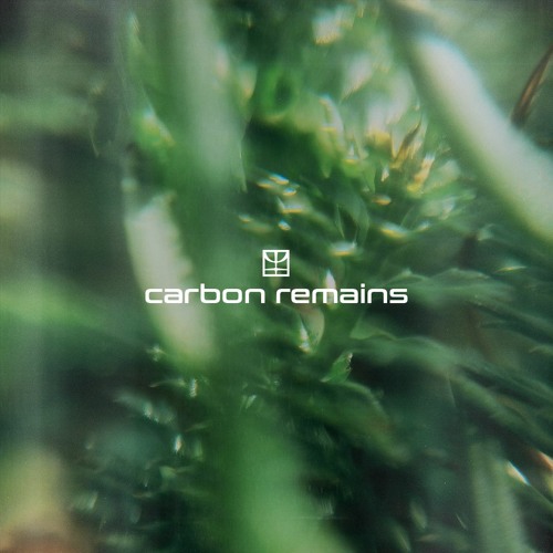 carbon remains