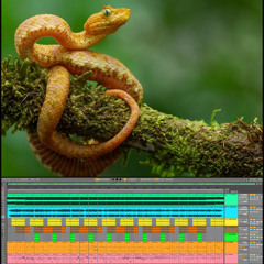 (Psychedelic-Trance-Experimental-Dark-Hitech) Track No: 5940.