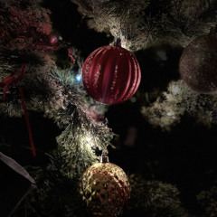 Merry Christmas Special Prod. XOULD