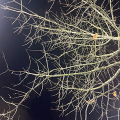 that part (prod. kenay + burnaymadeit)