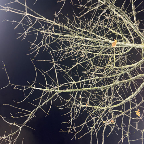 that part (prod. kenay + burnaymadeit)