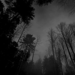 All Is Lost... - Black Autumn