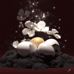everyday (10-20-25) floating on eggshells