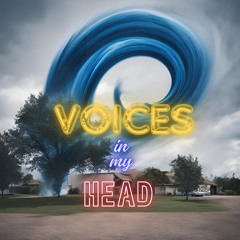 Voices In My Head (made From A Dj Mixer)