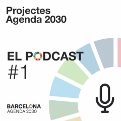 Capítol 01  PROJECTES Agenda  2030 de Barcelona -  Entrevista a la 3a Tinent d'Alcaldia Laia Bonet