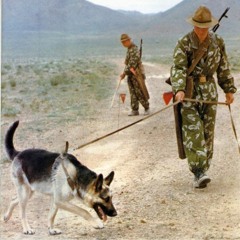 Via Kaskad - Green Zone - ВИА Каскад - Зелёная зона