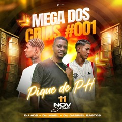MEGA DOS CRIAS 001 (DJ ADS - DJ MAEL - DJ  GABRIEL BASTOS) PIQUE DE PH