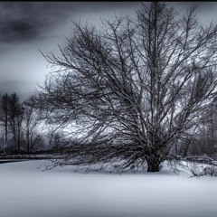 Winterkracher01 (Set 2023)