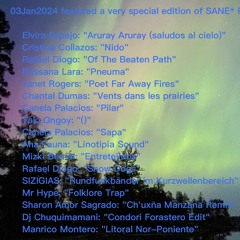 S.A.N.E. Episode 38 curated by Valeri Marina