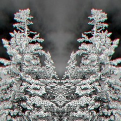 Fragmented - Perpetual Oak x nąlląh mystįquę