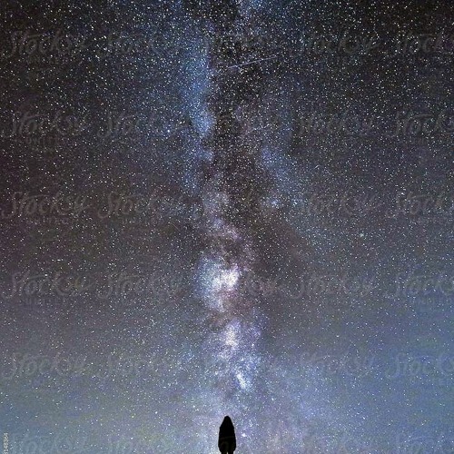 compo20240615 (Cosmos)