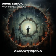 David Surok - Morning Delay [Aerodynamica Music]