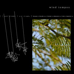 Wind Tempos (Wyhatt Remix)