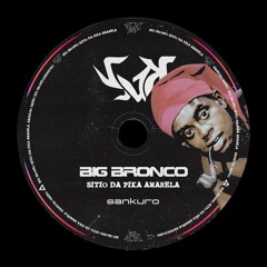 SITIO DA PIKA AMARELA