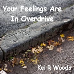 YOUR FEELINGS ARE IN OVERDRIVE