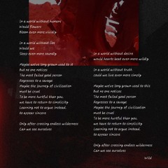 01.肖战 Xiao Zhan - Wild (我们 Us).mp3