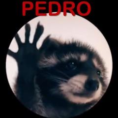 ✔Epub⚡️ Pedro Mapache Raccoon meme 100 pages 6' x 9' Notepad: pedro pedro pedro Racoon