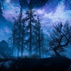 Night Sky
