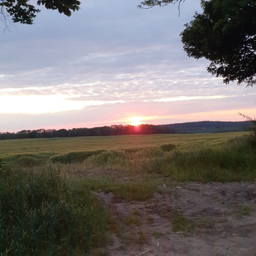 Sun Don't Shine - Tekkno Edit