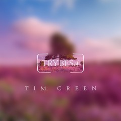 Tim Green - Mobara