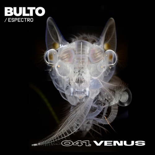 Stream BULTO / Espectro 041. Venus by BULTO | Listen online for free on ...