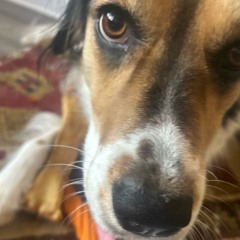 hotel lobby prod bullseye